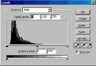    Digital Graphics
